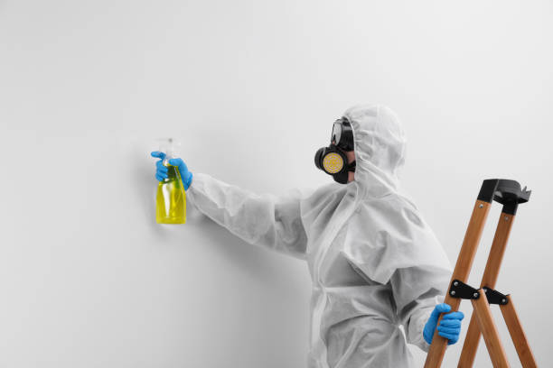 Best Industrial Mold Remediation  in Greenwood Village, CO